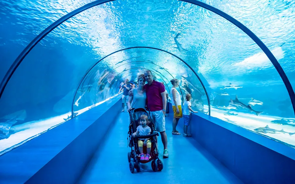Visitors and a pushchair in the underwater tunnel at Barcelona Aquarium