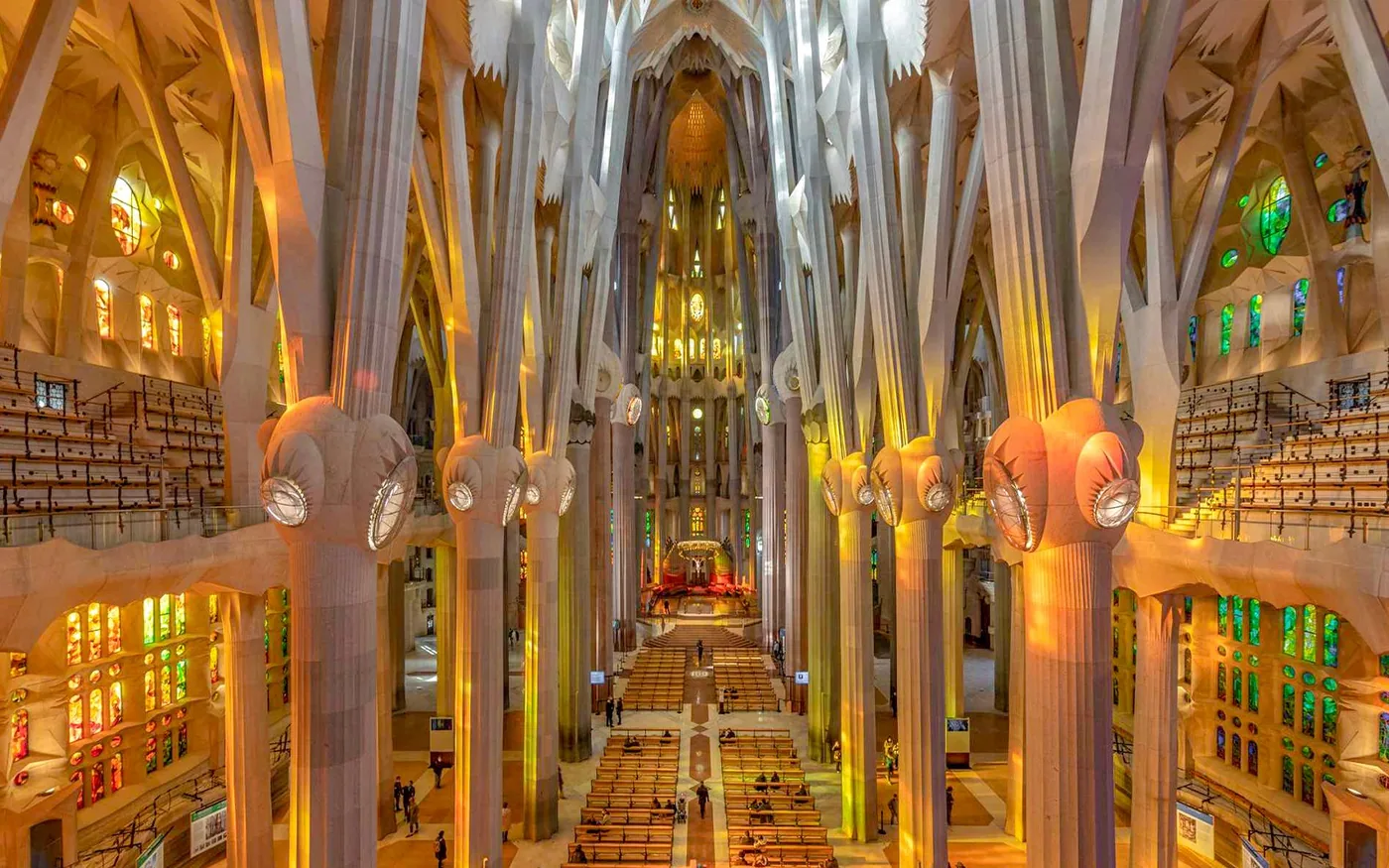 Tree-like columns and stained-glass light inside Sagrada Família