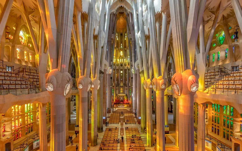 Tree-like columns and stained-glass light inside Sagrada Família